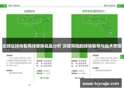 全球足球高智商球星排名及分析 突破常规的球场智慧与战术思维