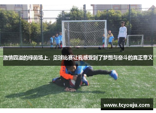 激情四溢的绿茵场上，足球比赛让我感受到了梦想与奋斗的真正意义