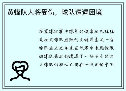 黄蜂队大将受伤，球队遭遇困境